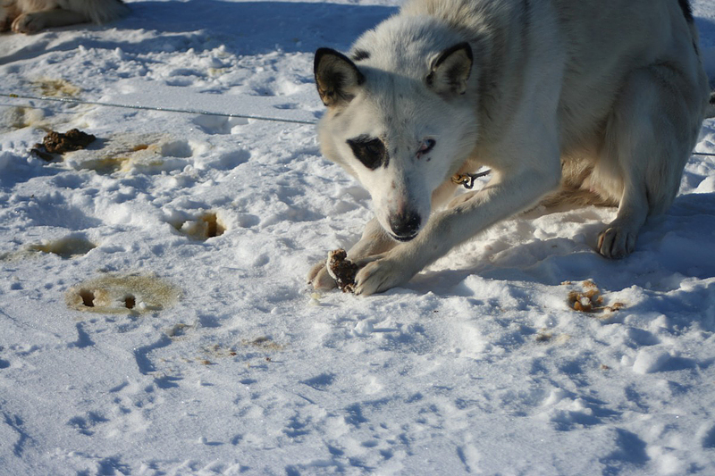 Заголовок