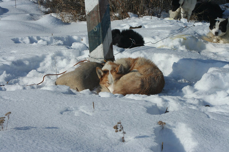 Заголовок