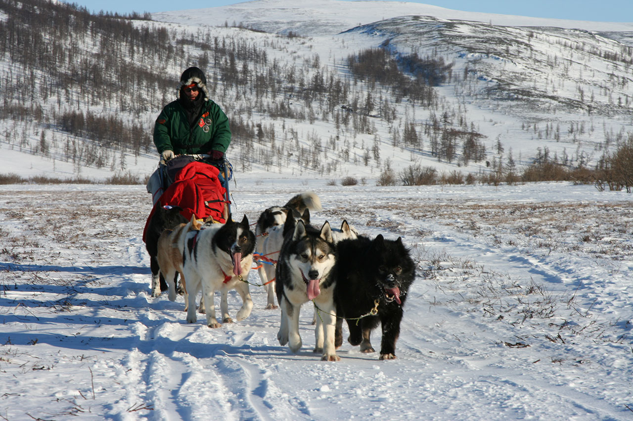 Заголовок