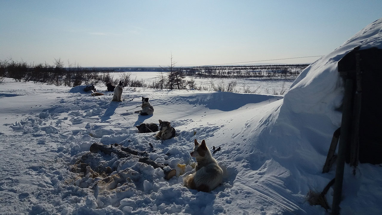 Заголовок