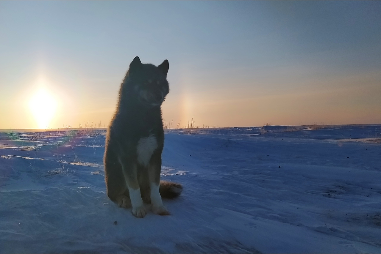 Заголовок