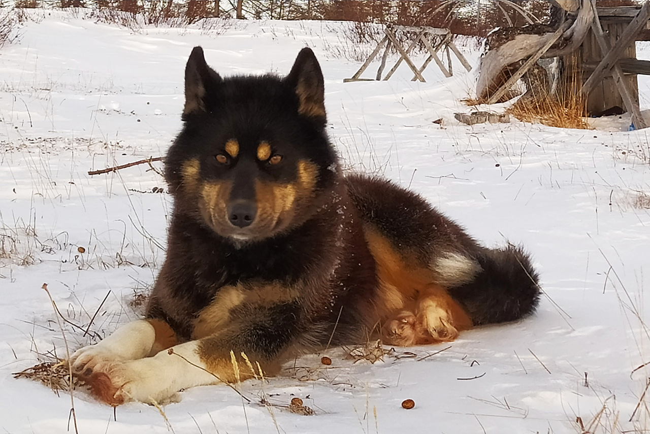 Заголовок